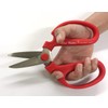 Sakagen Multi Purposse Floralcraft Scissors with Wire Cut Function