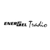Pentel EnerGel Tradio Pearl Gel Ink Pen, (0.7mm), Medium Point