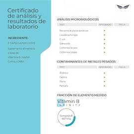 ETERNAL NUTRITION Infinity: Complejo B Elevado 11 Tipos (300 Cápsulas)