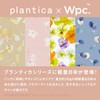 [2025] Wpc. Parasol [plantica × Wpc.] Light Shielding Lightweight Flower