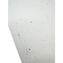 A4 Seeded Craft Printer Paper Wildflower Seeds 120GSM Printable Plantable ECO (10) NATURAL NATION