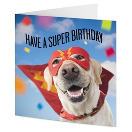 TigerMill Publishing 'Have a Super Birthday' Labrador Retriever Dog Birthday card