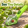 6X Magnifying Bug Catcher for Kids – Handheld Insect Viewer