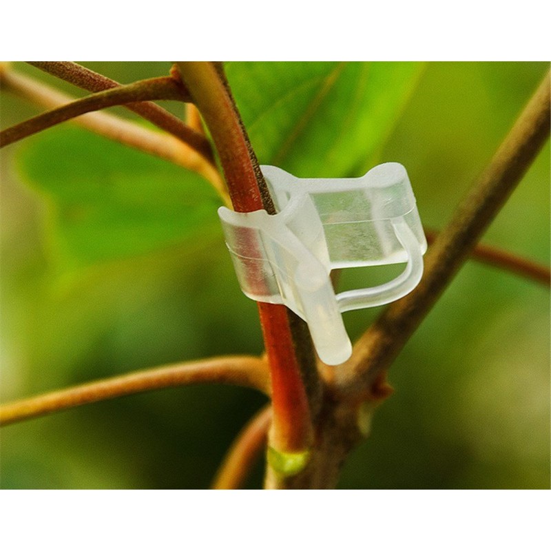 HONBAY 150pcs Mini Plastic Plant Grafting Clips Gardening Tool