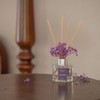 Fresh Lavender Reed Diffuser Set - 3.38 fl oz (100ml)