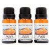 Crazy Candles Orange Satsuma (Made in USA) 3 Bottles 1/2