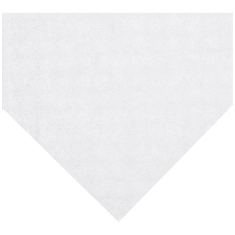 Sharp purazumakurasuta-ion No Machine Replacement Filter izfa100 