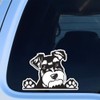 DK339 Cute Miniature Schnauzer Stickers 15 x 11 cm Hide