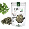 [Medicinal Korean Herb] Sambung Nyawa New Sprouts (Gynura procumbens/Ashitaba/Mingreye/명월초 새순),