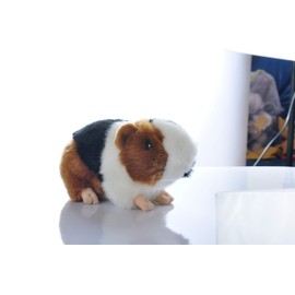 Cute rabbit 8 inch Guinea Pig Plush Toy Stuffed Animal Toy Plush Animal Doll (Black)