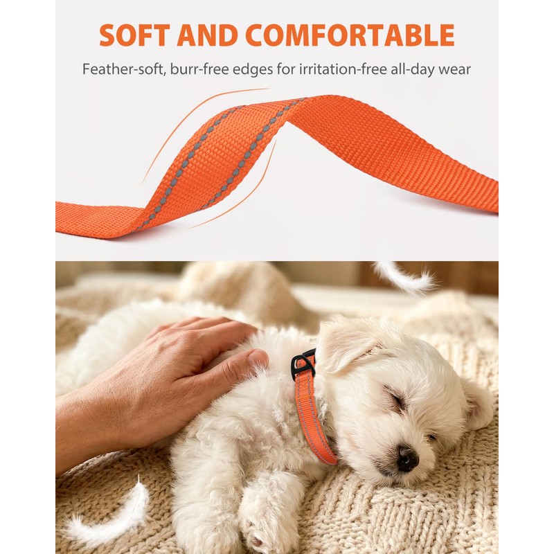 Joytale Small Dog Collar, Durable Double-Sided Reflective Nylon Collar for