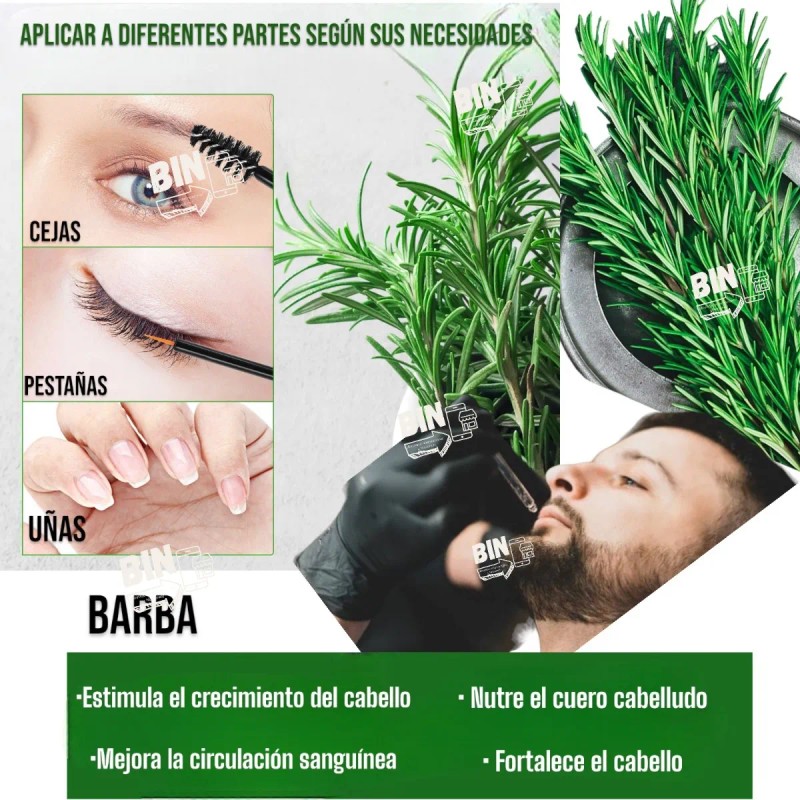 Aceite Esencial Romero 100% | Kit 2 120ml Cabello Barba