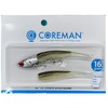 Coreman Iron Jig Head #041 Silver Head/Shallow Bait IJ-16
