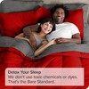 Bare Home Bed-in-A-Bag 7 Piece Comforter & Sheet Set -