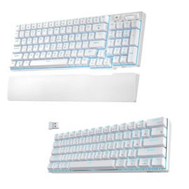 RK ROYAL KLUDGE RK96 Blue Backlight Blue Switch White & RK61 Single Backlight Blue Switch White Bundle