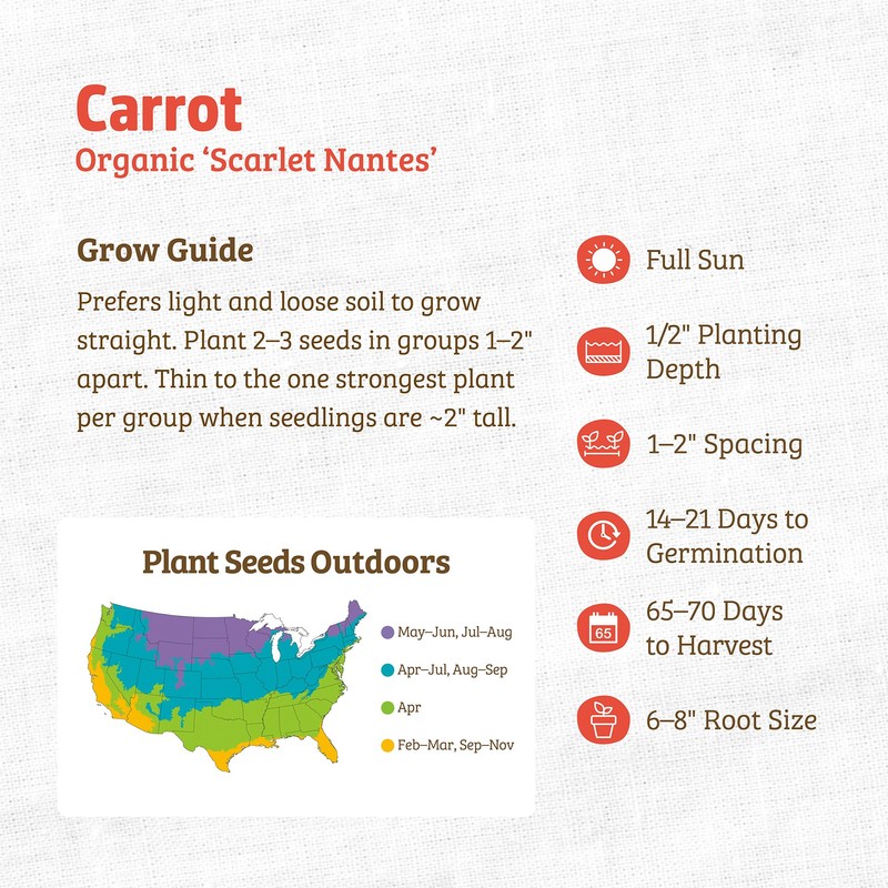Back to The Roots 100% Organic Seed Packet - Carrot
