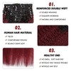 Boyusijf Hair Extensions Kinky Straight Clip ins Hair Extensions 100%