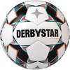 Derbystar Unisex Youth Junior S-Light Leisure Ball, white, 5