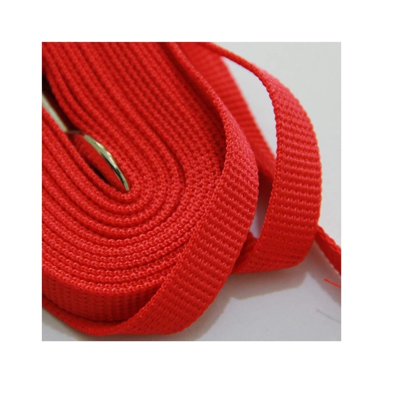 5 Metre Dog Lead Puppy Pet Training Recall Walking Harness