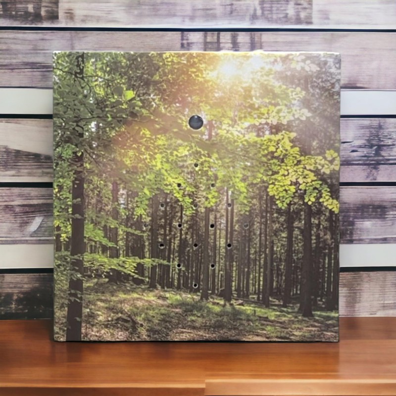 MIJOMA Soundbox with Bird Singing and Forest Backdrop - Soothing