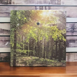 MIJOMA Soundbox with Bird Singing and Forest Backdrop - Soothing Relaxation for Your Home | Speaker, Motion Sensor & On/Off Switch | Ideal for Bathroom, Hallway, Office & Living Room | 12 x 12 cm