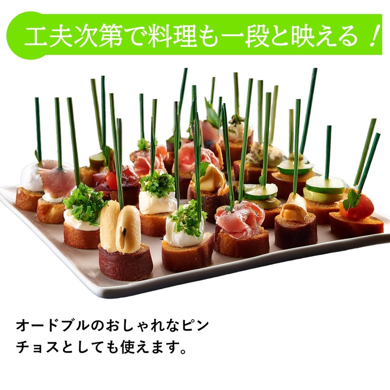 Rita Shokai Korean Toothpicks (Green) Approximately 500 Bottles Unscented Starch
