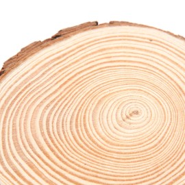 2pcs Round Wooden Springboard Perches Stand Toy Bird Perch for Small Parakeets Cockatiels Hamster