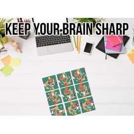 Scramble Squares Football 9 Piece Challenging Puzzle - Amazing & Engaging Brain Teaser - Mind Game for Children, Teens, Adults & Seniors - Boosts Cognitive Function & Problem Solving