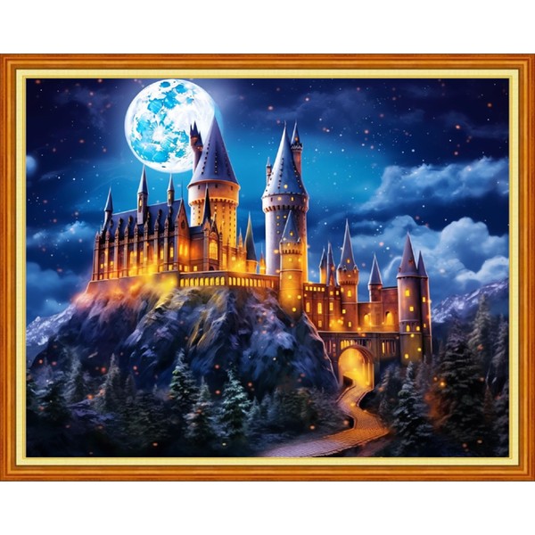 Dimxvean Stamped Cross Stitch Kits,Cross Stitch Kits for Adults Beginners,Embroidery