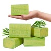 Australian Botanical Soap Tea Tree with Sage Extract 6.6 oz