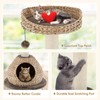 PETSITE Modern Cat Tree Tower, Paper Rope Natural Bowl Shaped