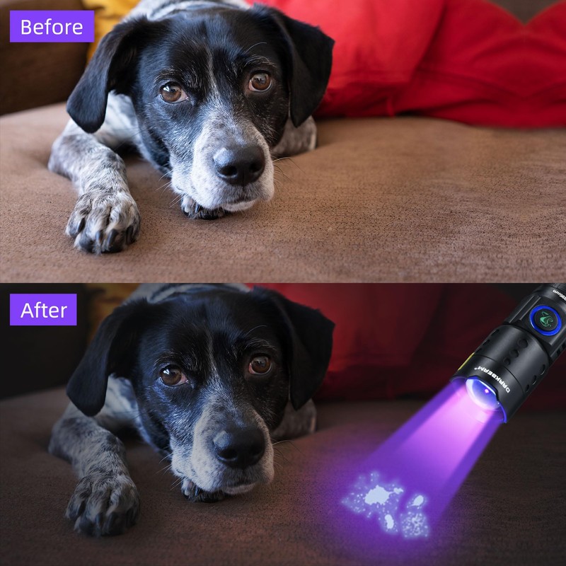 DARKBEAM UV Flashlight Black Light LED 395 NM, Ultraviolet Flashlights,