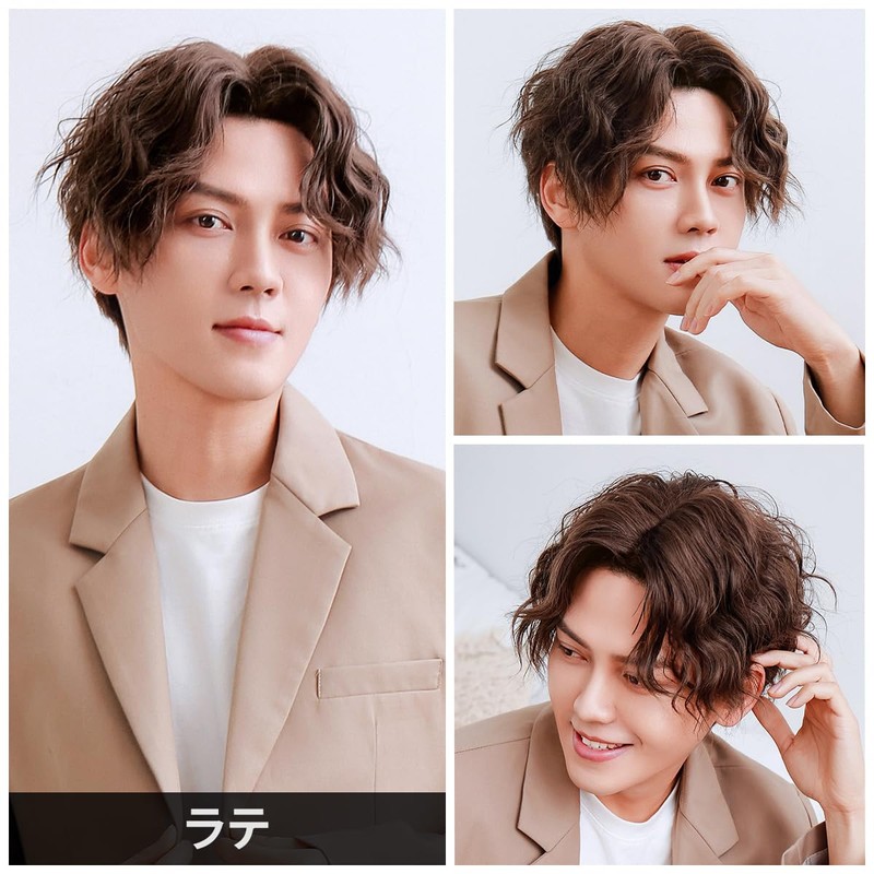 TefuRe MEN-007Lt Men's Wig, Wig, Rough, Casual Style, Perm, Center