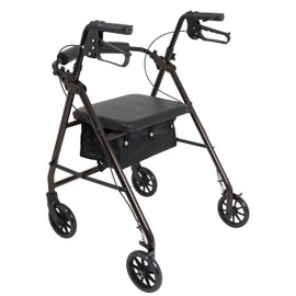 ProBasics Aluminum Rollator with 6-inch Wheels, Padded Seat and Backrest, Height Adjustable Handles, Folds for Storage & Transport, 300 Pound Weight Capacity, Black