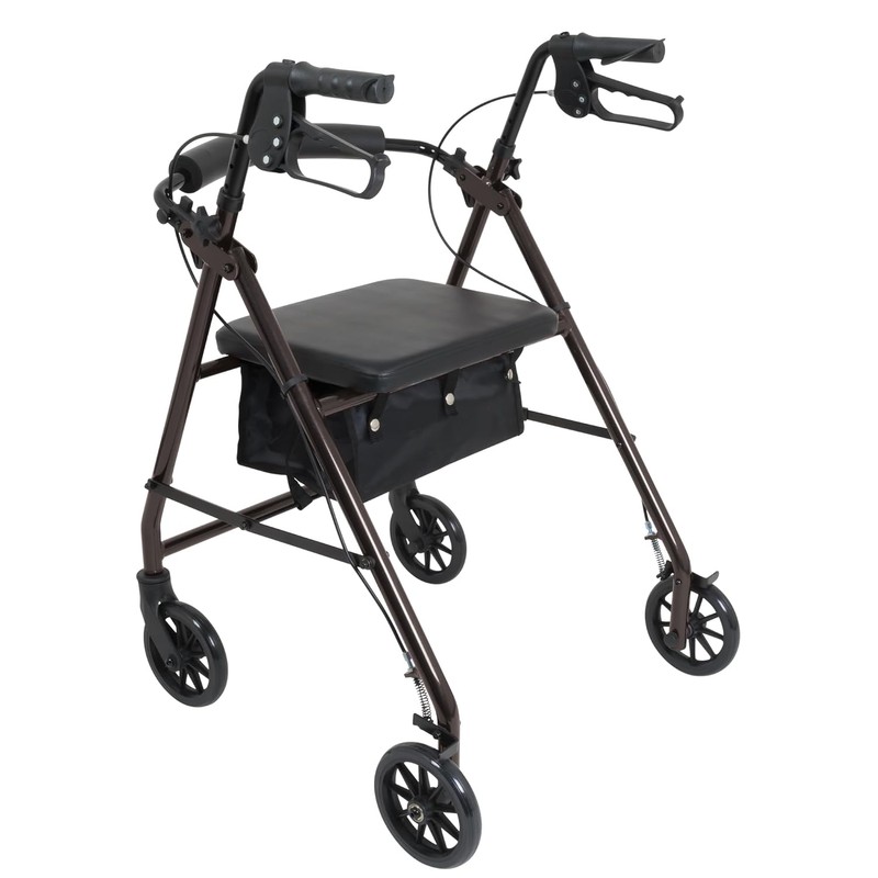 ProBasics Aluminum Rollator with 6-inch Wheels, Padded Seat and Backrest,