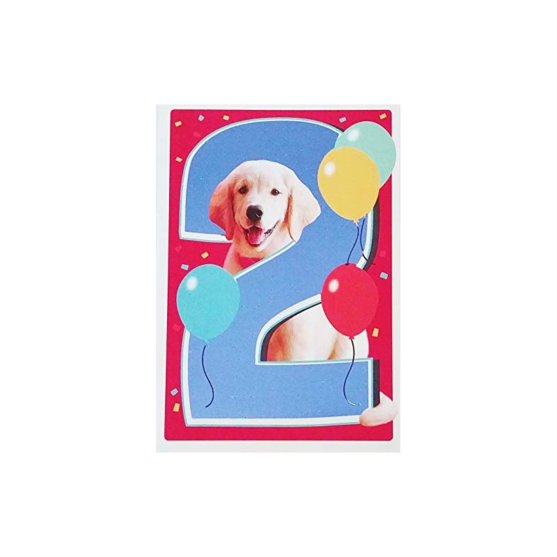 Greeting Card Happy 2nd Birthday with Golden Labrador Retriever Dog