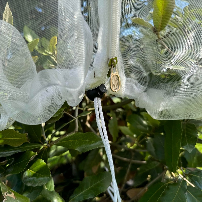 Fruit Tree Protection Bags 8.5x8.5 FT | Multiple Size Garden