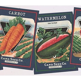 CONCORD WALLCOVERINGS ™ Wallpaper Border Country Pattern Garden Vegetables for Kitchen Farmhouse Cottage, Green Navy Blue Pink Orange, 15 ft by 9 in KR2454B