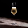 Viski Liminal Crystal Flutes, Ultrathin Clear Drinking Glasses, Thin &