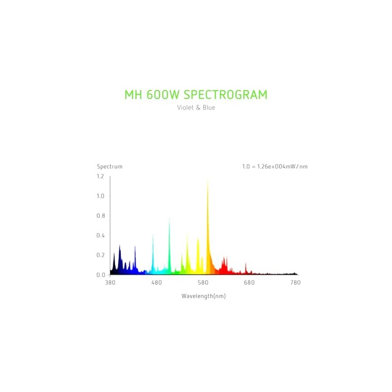 EverGrow 600W MH Metal Halide Grow Light Lamp Indoor Hydroponics