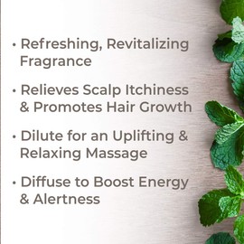Plant Therapy Peppermint Essential Oil 100% Pure, Undiluted, Natural Aromatherapy, Therapeutic Grade 100 mL (3.3 oz)