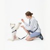 PETHROOM [Pestroom] No-Touch Cushion H Harness + Anti-Shock Manner Leash