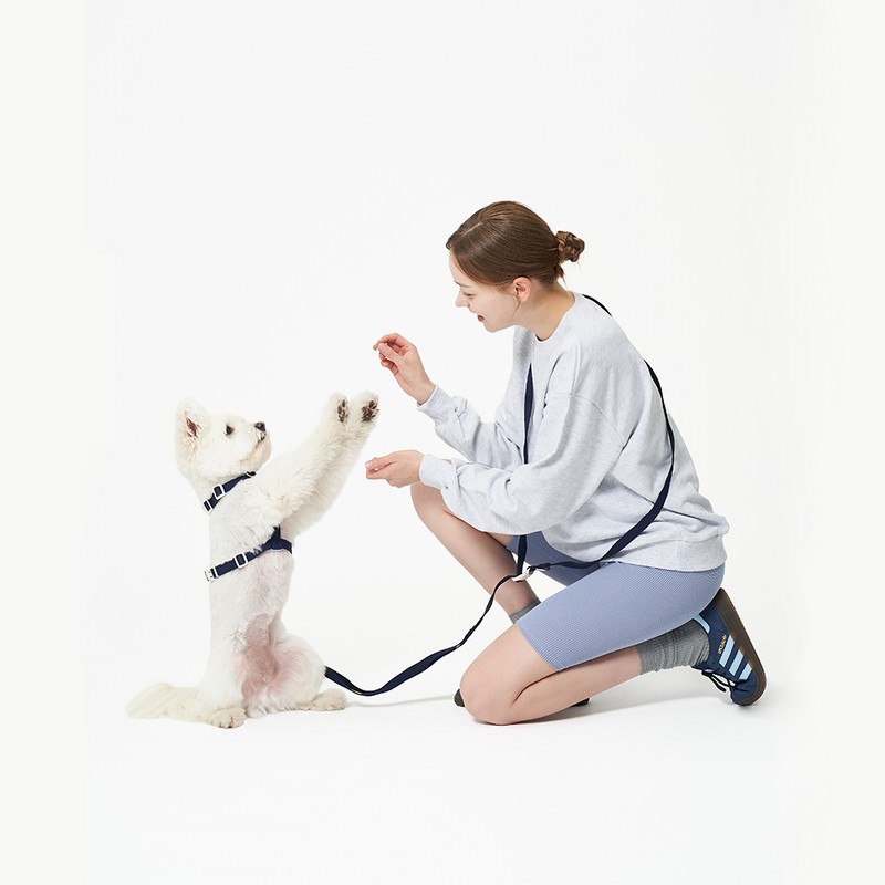 PETHROOM [Pestroom] No-Touch Cushion H Harness + Anti-Shock Manner Leash