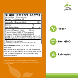 Terry Naturally CuraMed Syrup - Brain & Immune Health Support Supplement - Curcumin Absorption Formula with Turmeric Essential Oil - Gluten-Free & Vegan Supplement - 8 fl oz