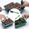 Qoolife Seed Starter Tray with Plant Light, 2 Pack Grow