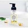 J.R. Watkins Foaming Hand Soap Pack of 3 Lemon Scent