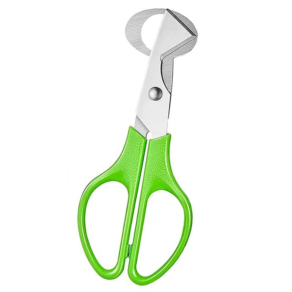 iZhuoKe Quail Egg Scissors, Pigeon Egg Scissors, Egg Scraper, Home