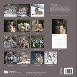 2026 Wolves Wall Calendar 12 Month | 12" x 24" Open | Giftable | Nature Calendar 2026 | Thick & Sturdy Paper for Calendar Organizing & Planning | Pacific Waters Press (Wolves)