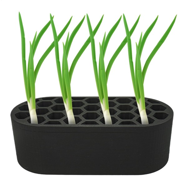 Seedling Starter Tray - Seedling Growing Trays | Growing Regenerator