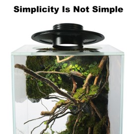 Desktop Glass Plant Terrarium with Grow Light(L7.8 W7.8 H14), for Succulent, Moss, Miniature Gardening Landscape, Betta Fish Tank, Indoor Plant Growth, Office Home Decoration (TimeControlled)